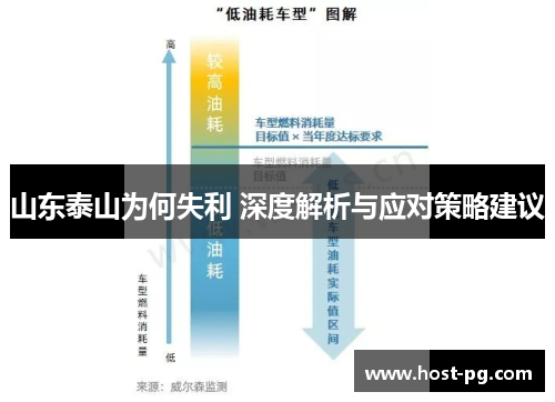 山东泰山为何失利 深度解析与应对策略建议